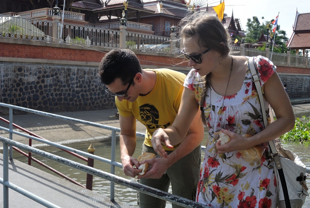 Thailand_fishfeeding