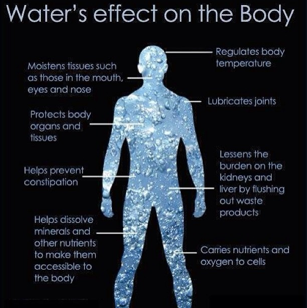 Reasons why you should drink more water