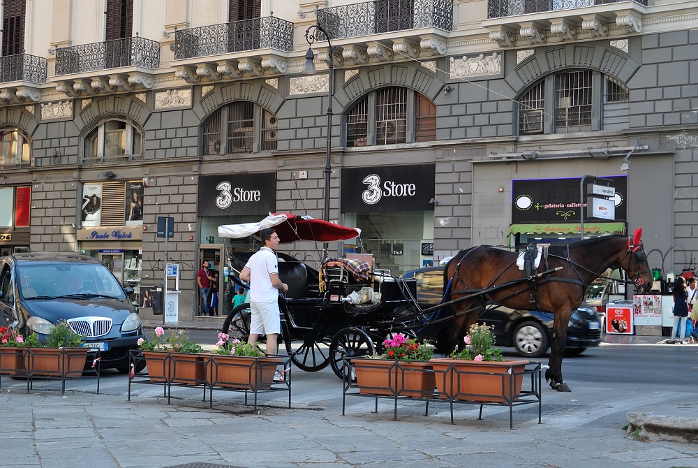 Palermo_horse_carriage