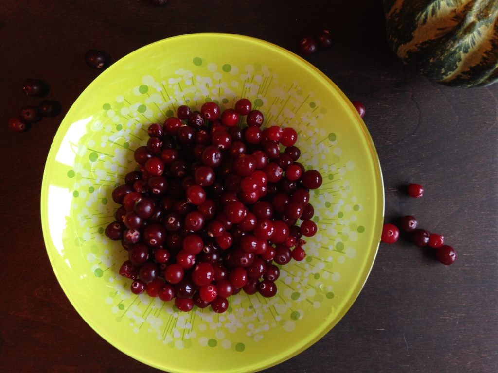 wild cranberries