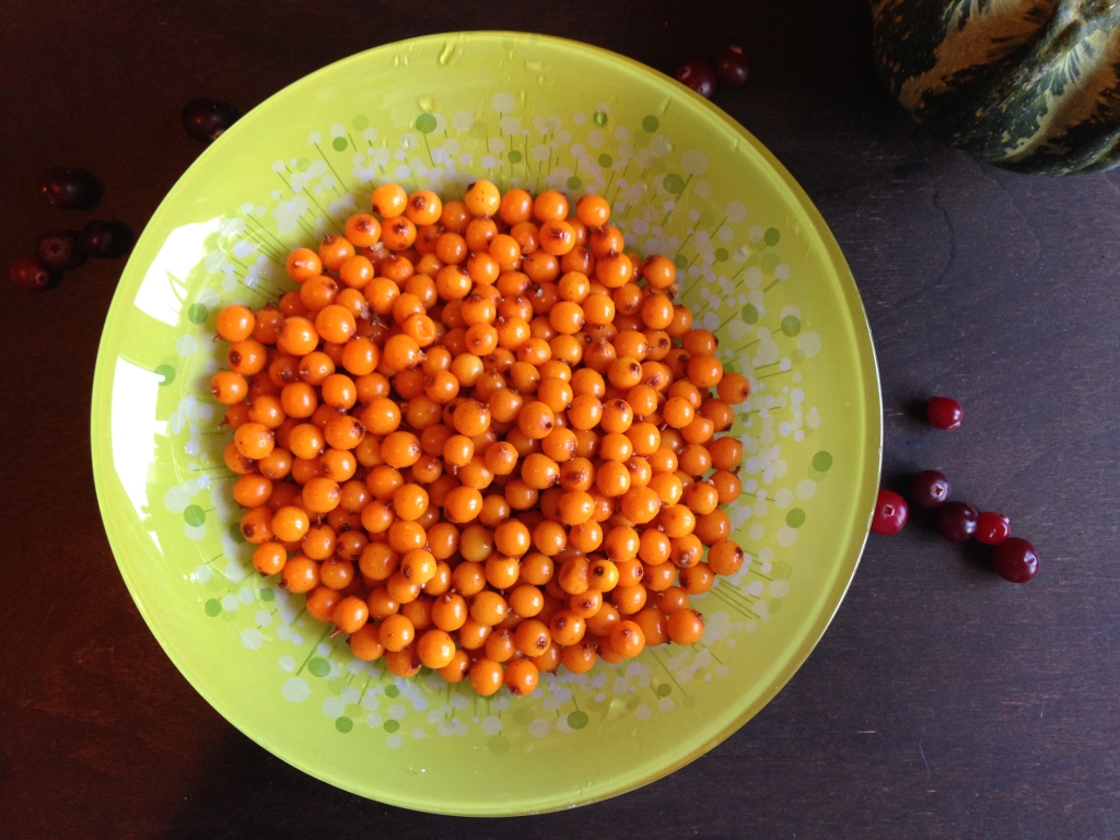 sea buckthorn berries