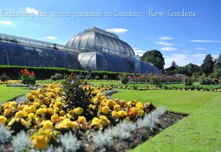 Exploring the green paradise in London – Kew Gardens